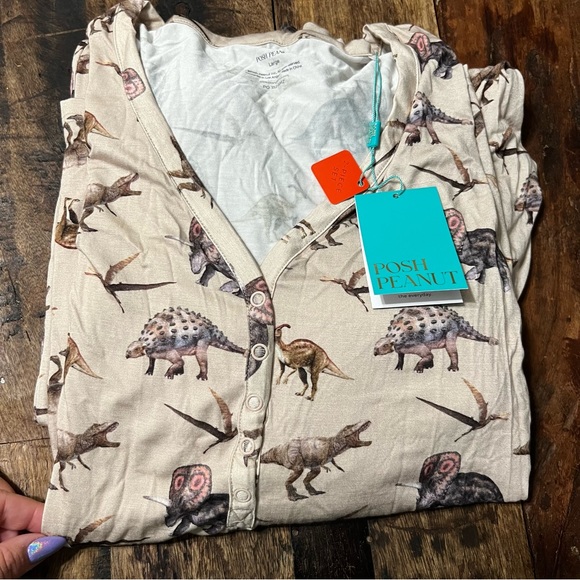 Posh Peanut Other - NWT Posh Peanut Vintage Dino Mama Set Size L